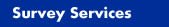 King's Land Surveying Solutions, LLC - Houston Land Surveying ServicesKing's Land Surveying Solutions, LLC - Houston Land Surveying Services